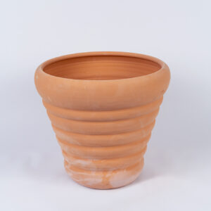 MPL-T531